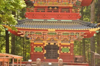 DSC_3842 (Large).JPG